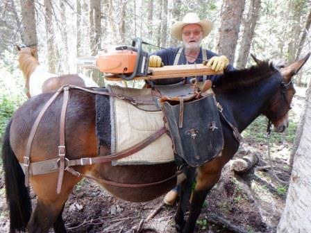 Corky and his chainsaw pack saddle